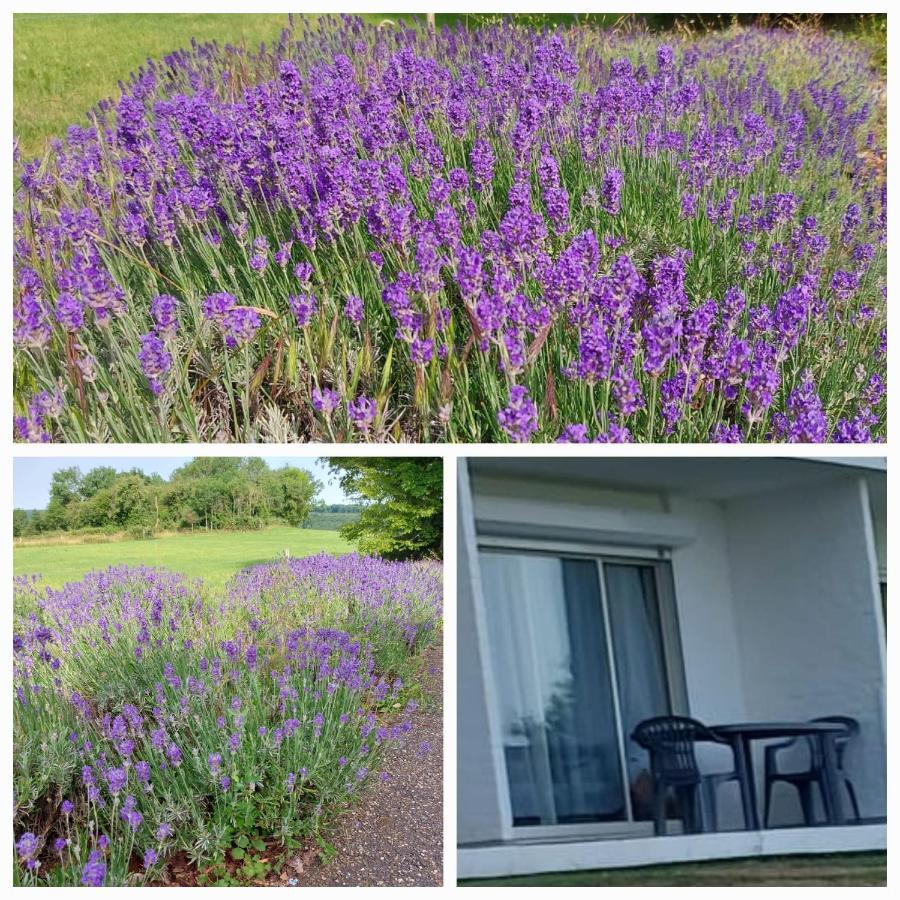 Apartamento Lavand'in Durbuy